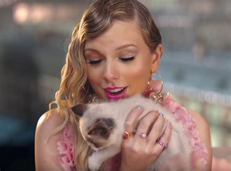 Cat that loves Taylor Swift music up for adoption